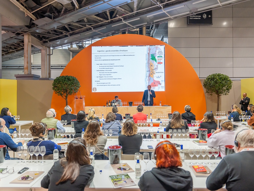 Andean Wines: How the Andes Shape Chile and Argentina's Best Terroirs