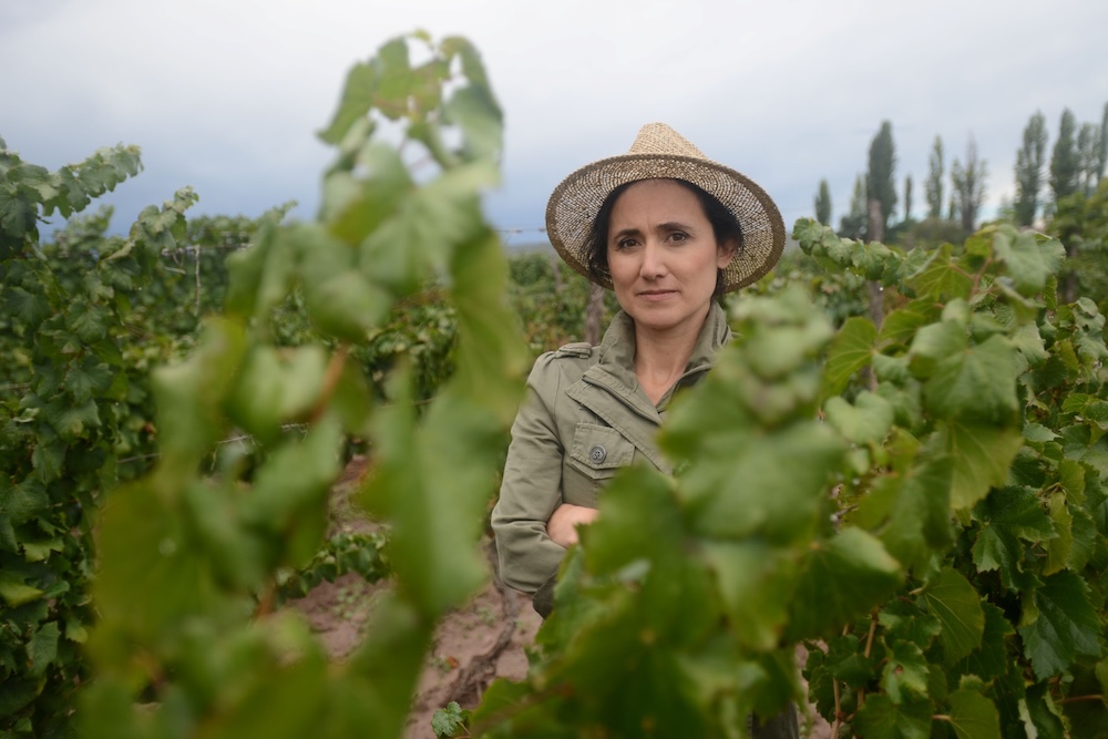 Laura Catena: "If they defeat wine, they defeat our historical civilisation – wine is sacred in many cultures"
