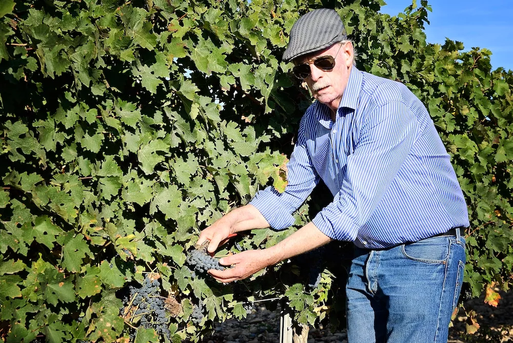 Bodega Inurietta, a jewel in Navarre’s crown