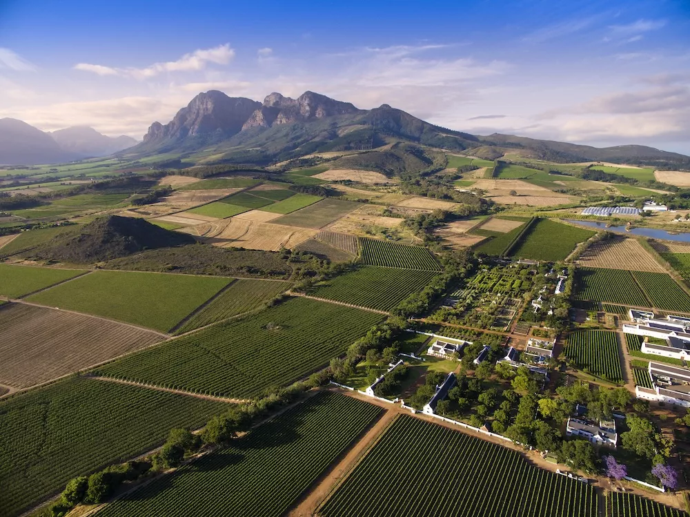 From Côtes du Rhône to Where Goats Do Roam: Exploring the Rhône Style Wines of South Africa