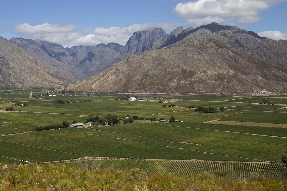 How the Breede River Valley tells its story through wine tourism