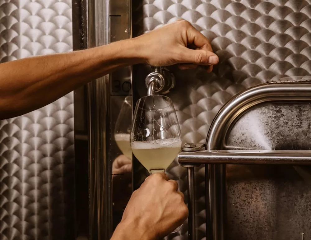 Prosecco Valdobbiadene Docg, a story of heroic viticulture and ‘Rive’