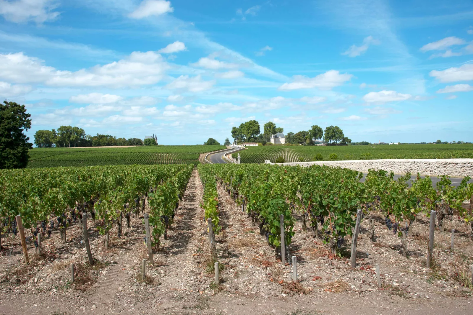 Primeurs de Bordeaux: Haut-Médoc & Médoc 2021