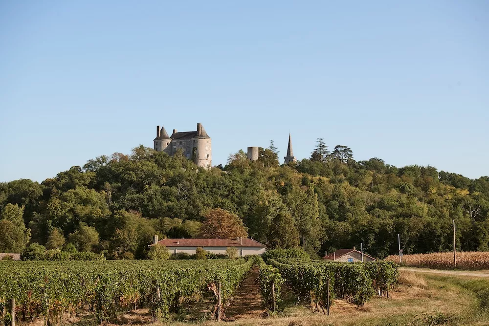 South-West France : A low-key wine region with a big personality