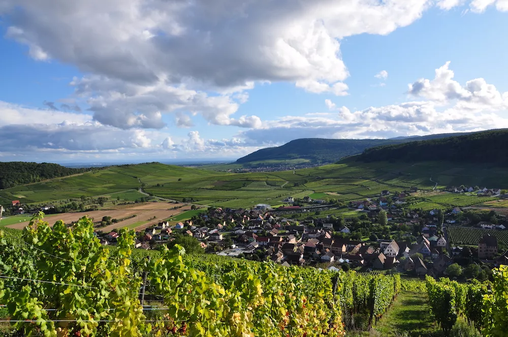 Alsace : une mosaïque de terroirs qui sublime les cépages
