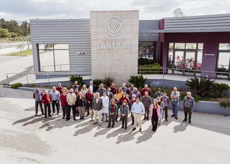 Adega Cooperativa do Cartaxo, une success story portugaise