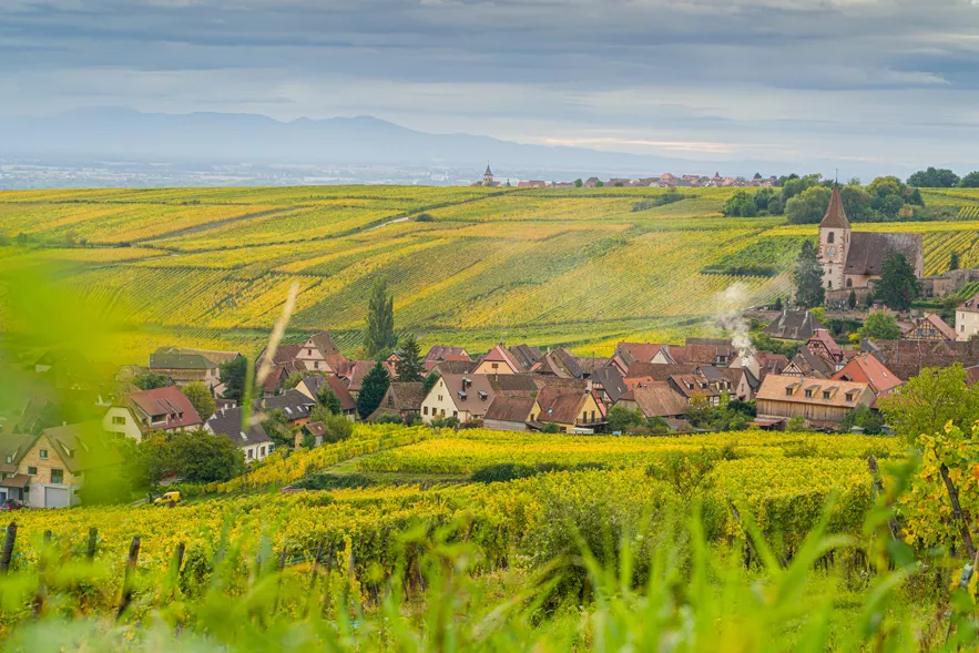 Alsace : Le crémant au top niveau