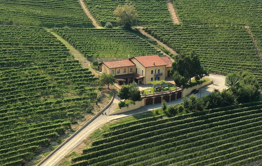 Greetings from Nebbiolo