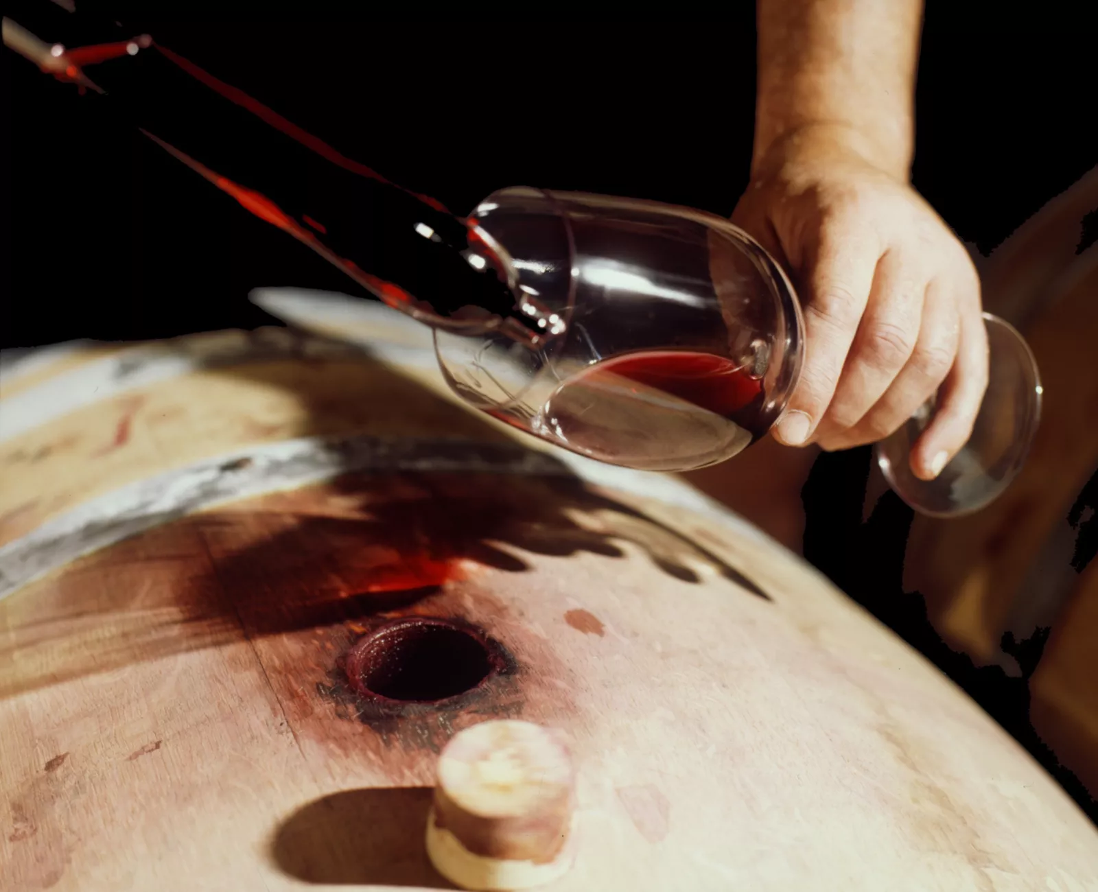 Argentina's journey into premium wines