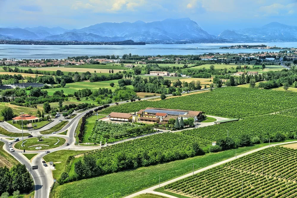 Lugana DOC and its world-class wines