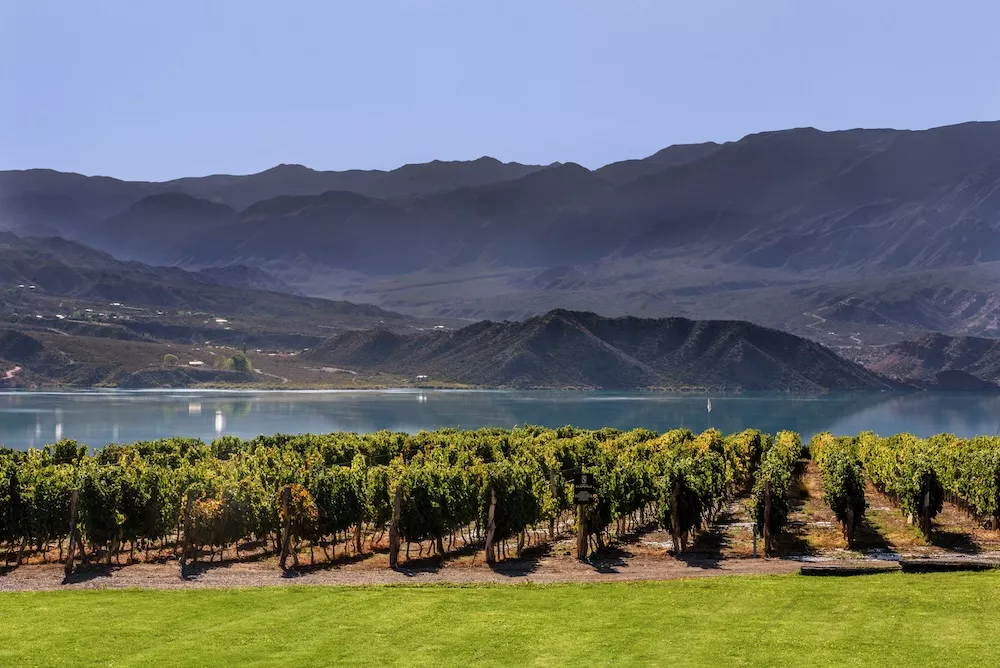 Malbec, the signature varietal that put Argentina on the world stage