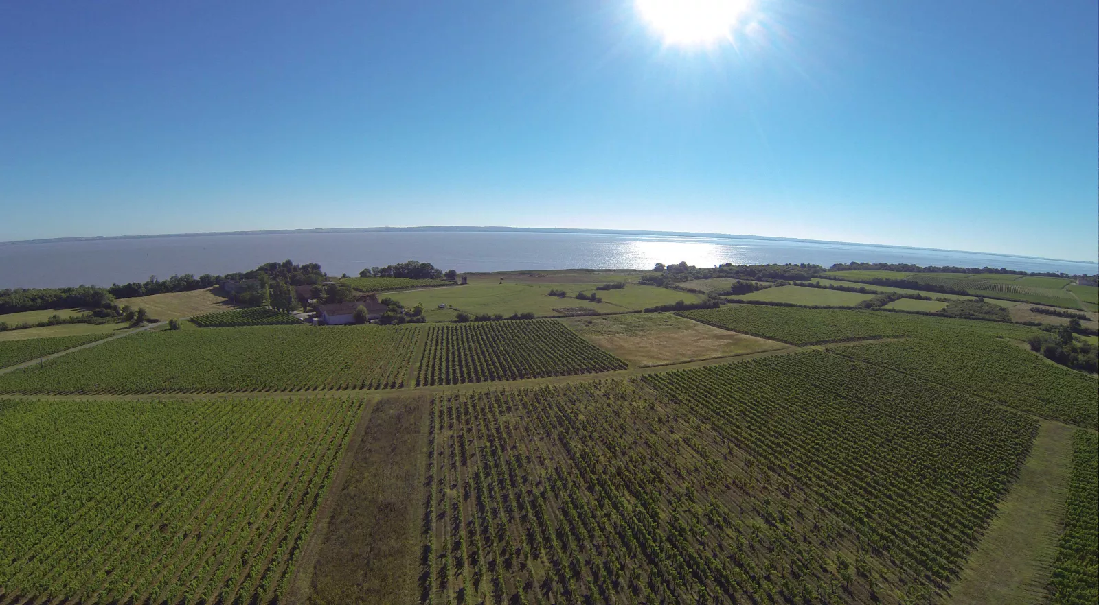 Bordeaux: a jaunt through some hidden gem vineyards