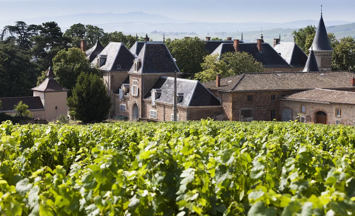 Brouilly and Côte-de-Brouilly, Beaujolais’ fraternal twins