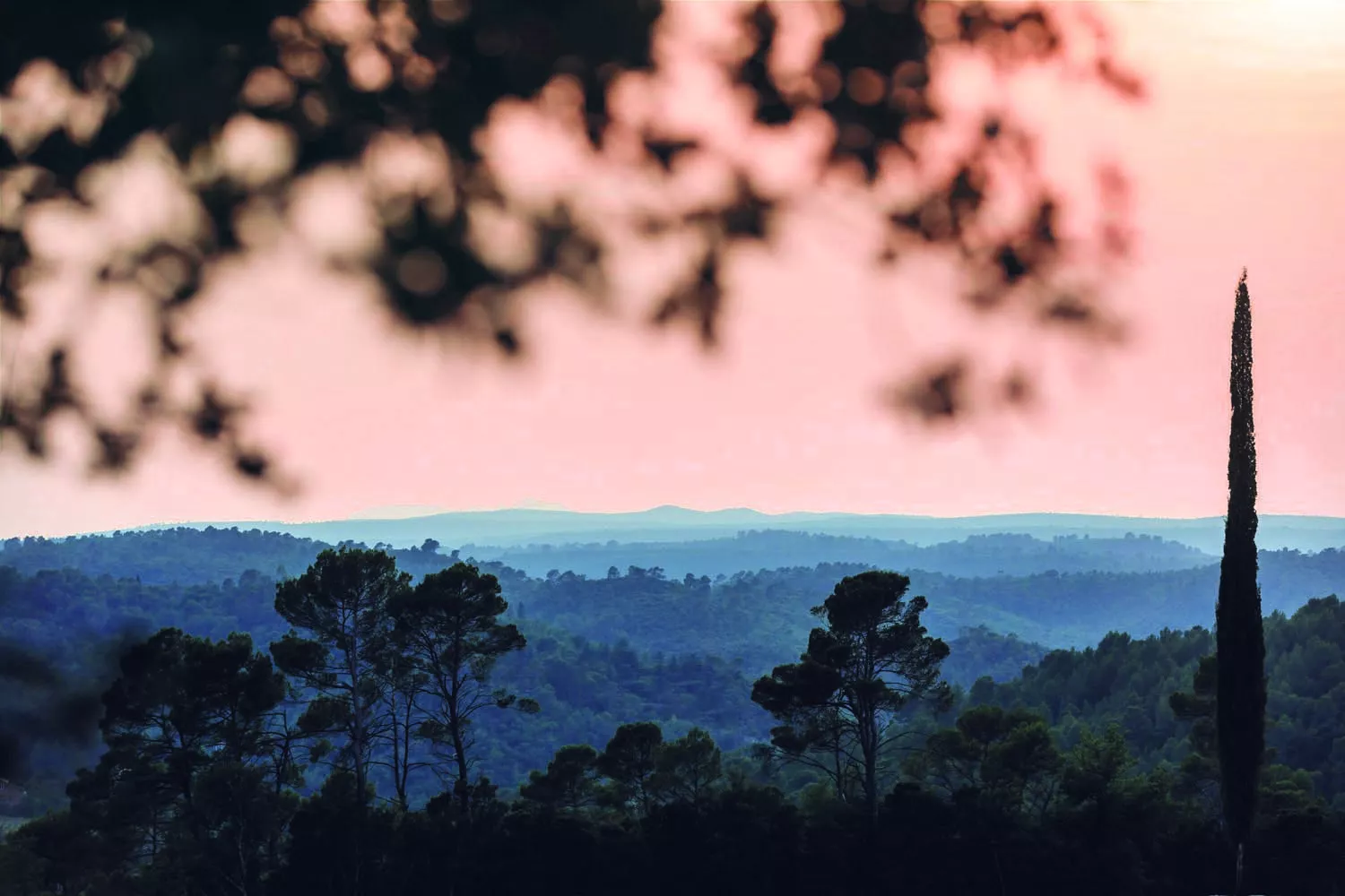 Vins et sites d’exception en Provence