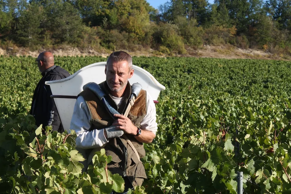 Chablis and its unique persona