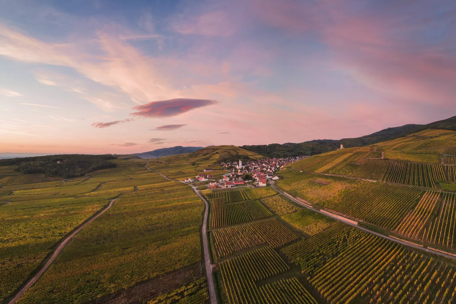 L’Alsace et ses terroirs protéiformes