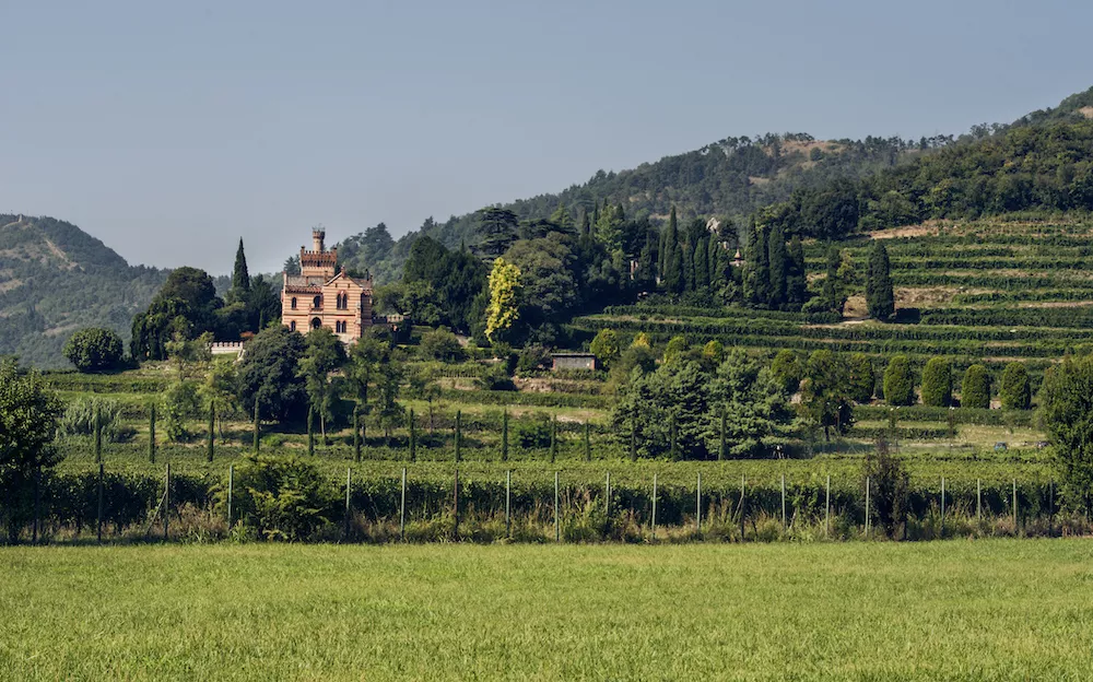 Franciacorta, the symbol of Italian traditional method sparkling wine