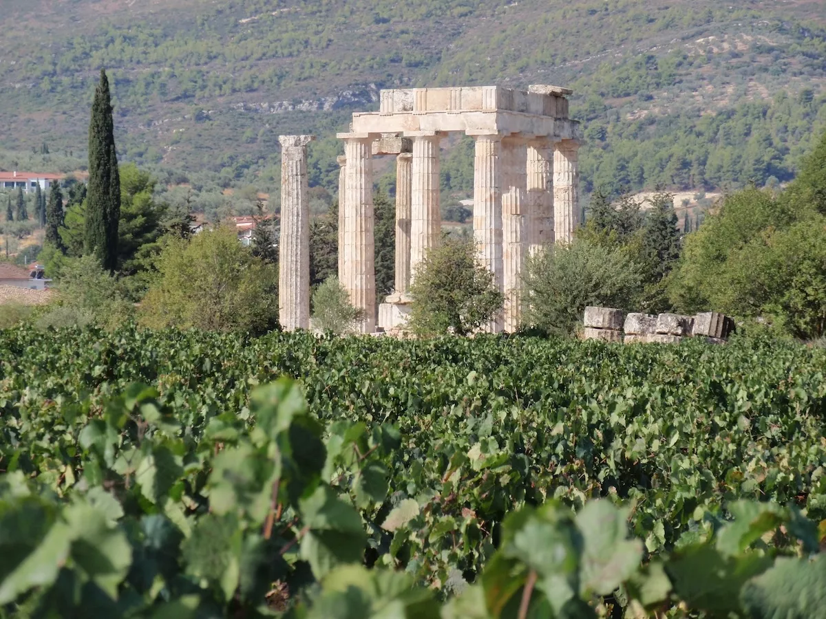 slide La Grèce : la renaissance de l’Ancien Monde viticole.