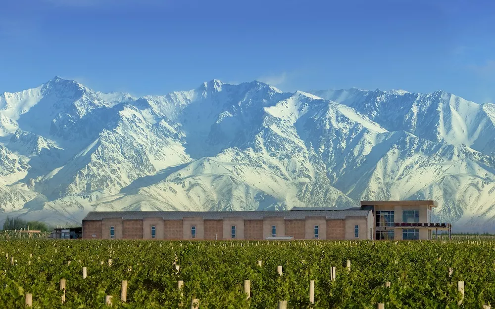 Argentina, a long-standing tradition of organic wines