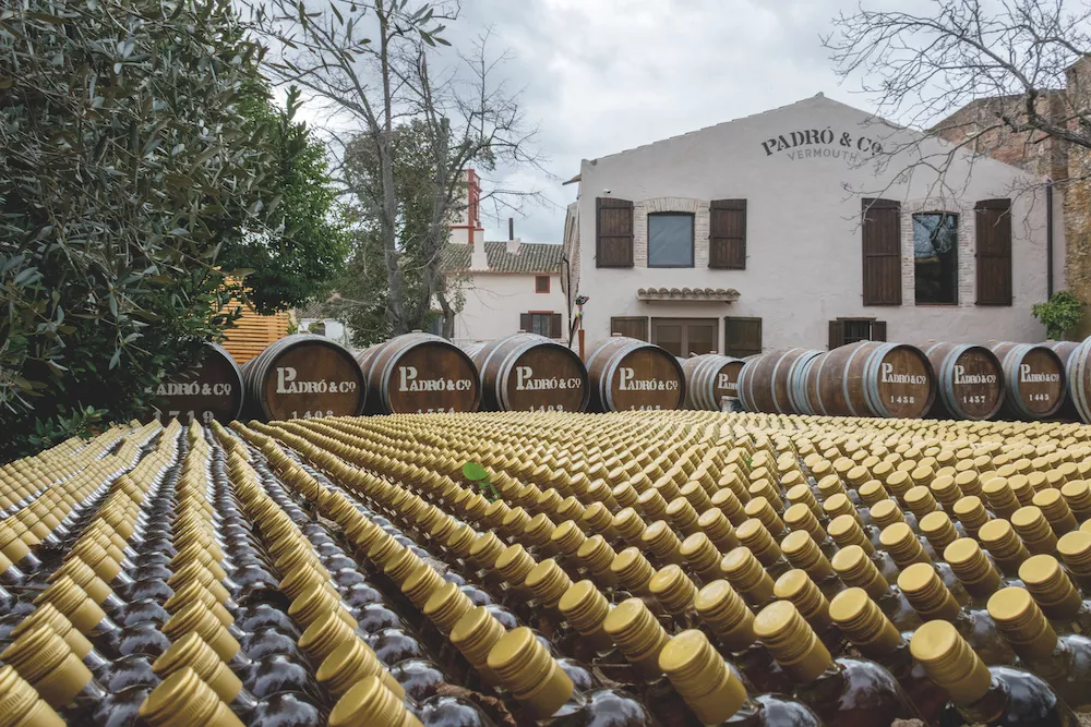 Vermouth makes a major comeback in Spain