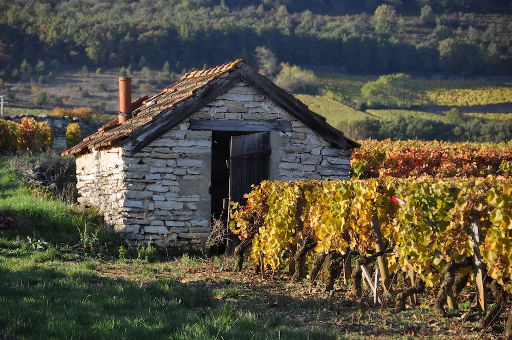 Labels HVE et Bio, la Bourgogne s’engage !