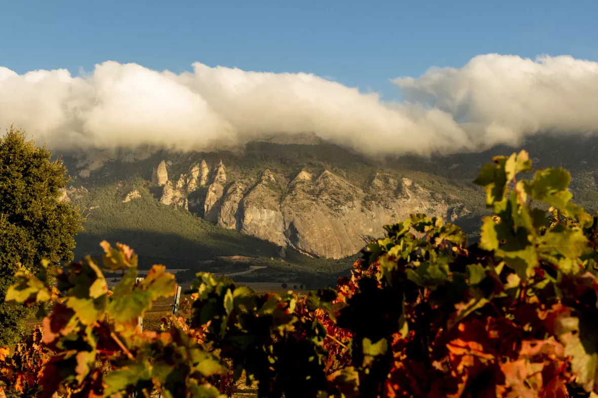 La Rioja conserve tout son éclat