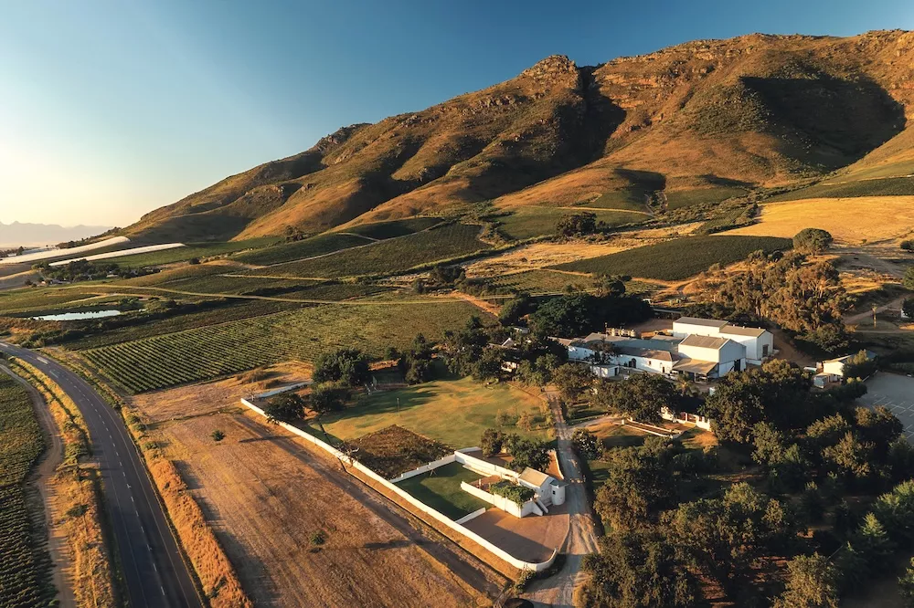 De la révolution à l'évolution : l'avenir des vins du Swartland
