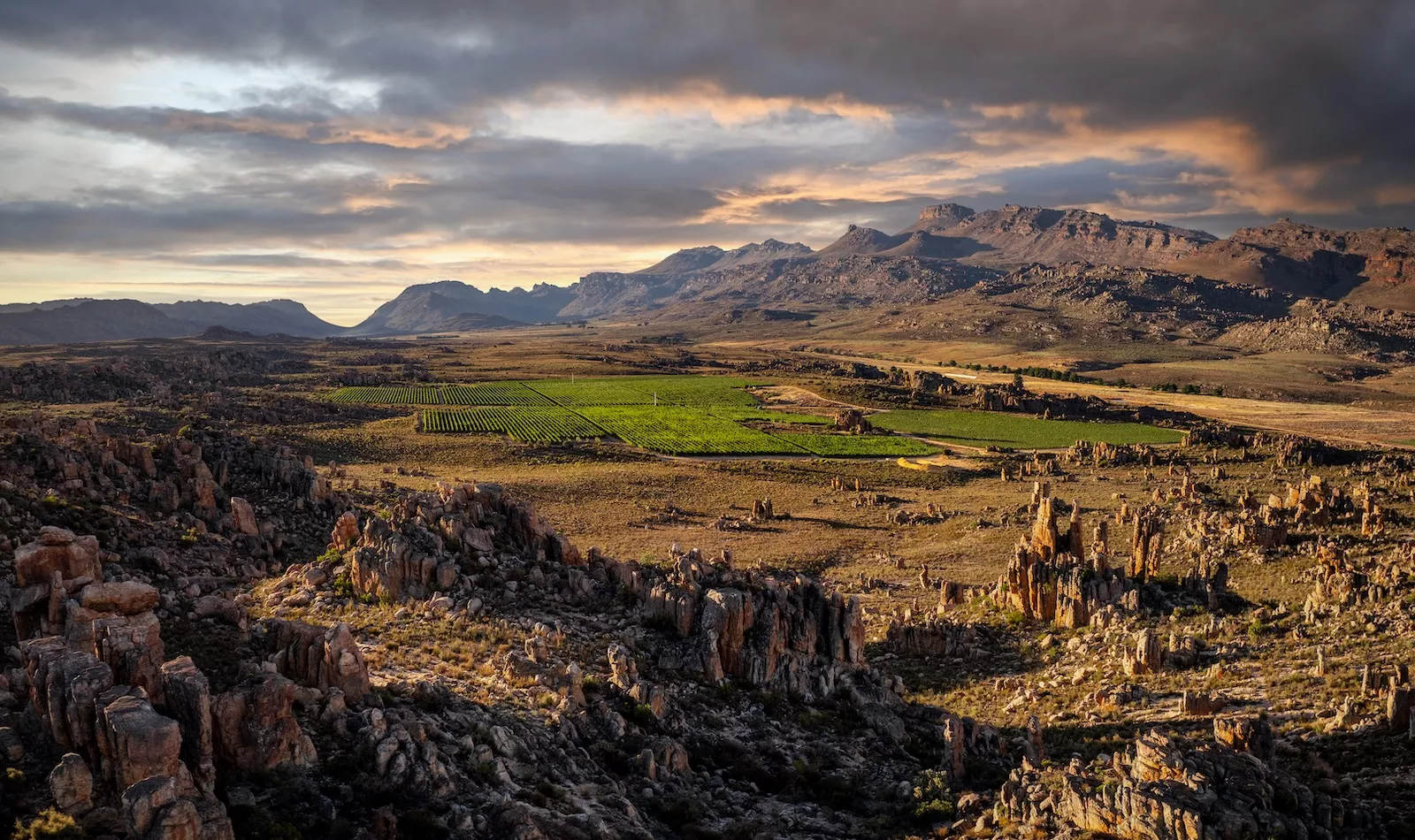 Worth The Wait: Sauvignon Blanc, from youthful precision to aged complexity