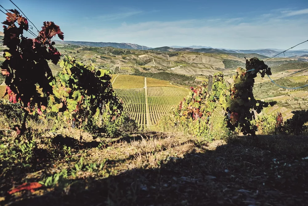 How Portugal has achieved outstanding international success
