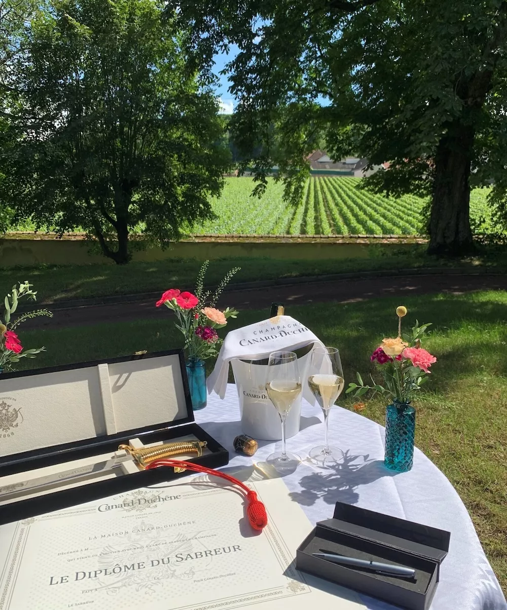 On the Champagne wine trail