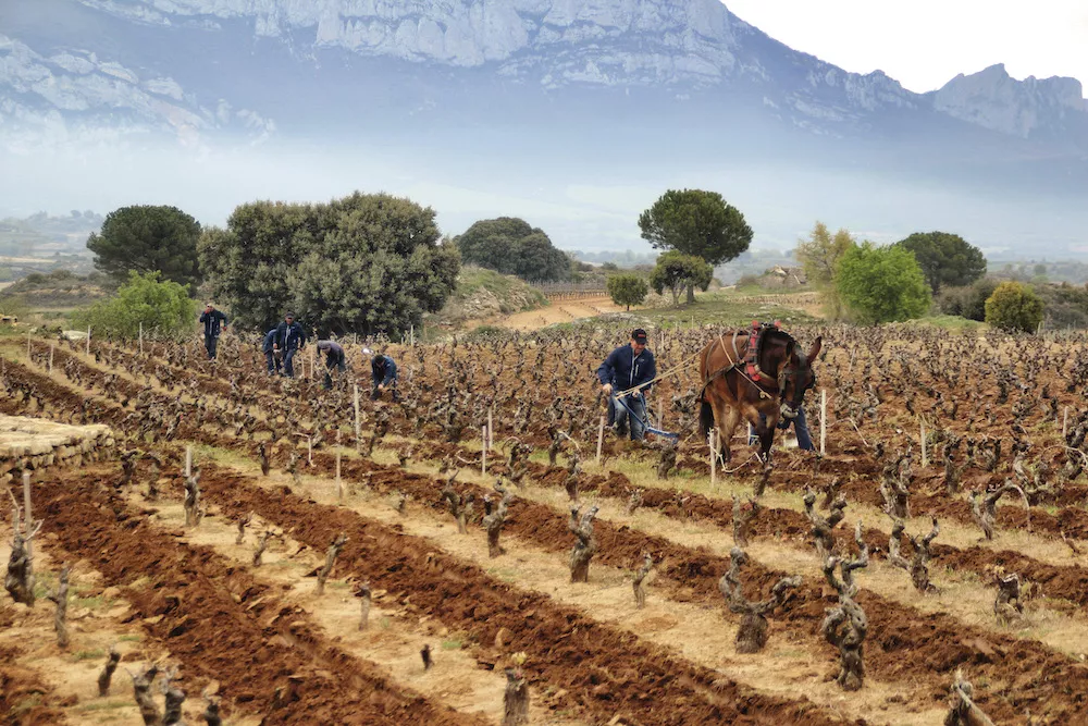 La Rioja rayonne sur les marchés export