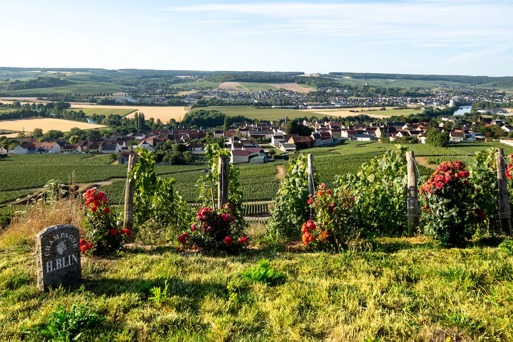 Champagne co-operative wineries: strength in numbers