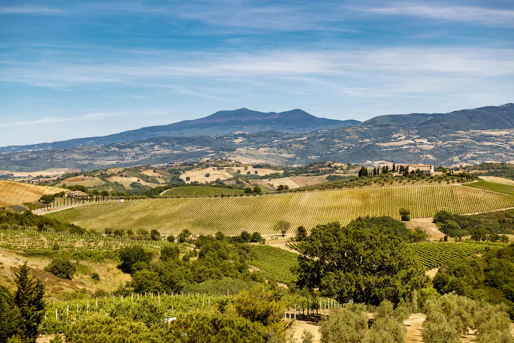 Tuscany and its 'natural' aptitude for organic viticulture