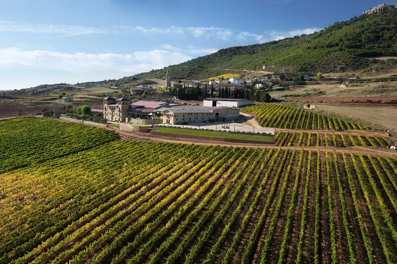 La Navarre, royaume du grenache