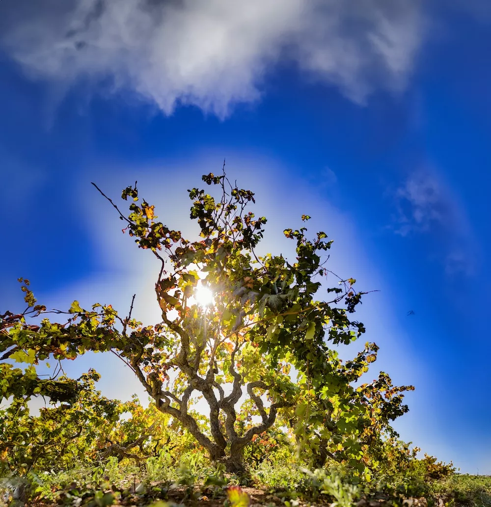 Puglia - The strength of the wind, the sun and the sea
