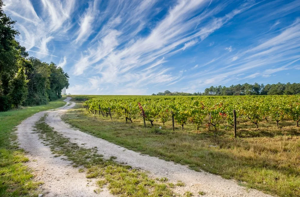 Rouges de Loire : une authenticité chevillée au corps