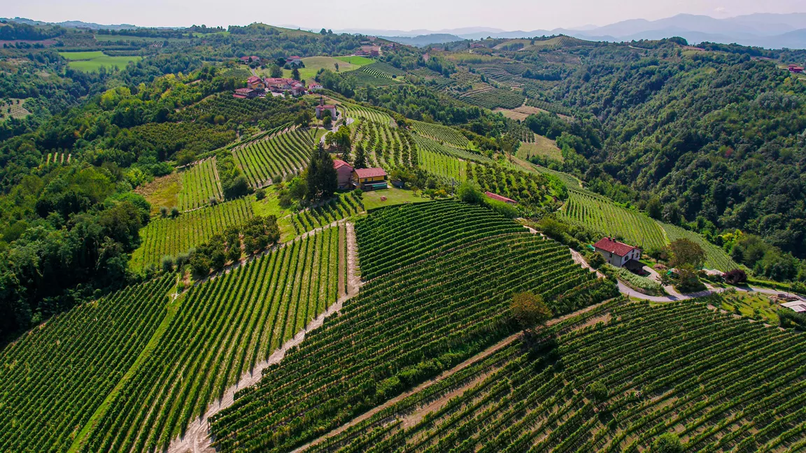 Italian wine in the present and future as seen by eight women