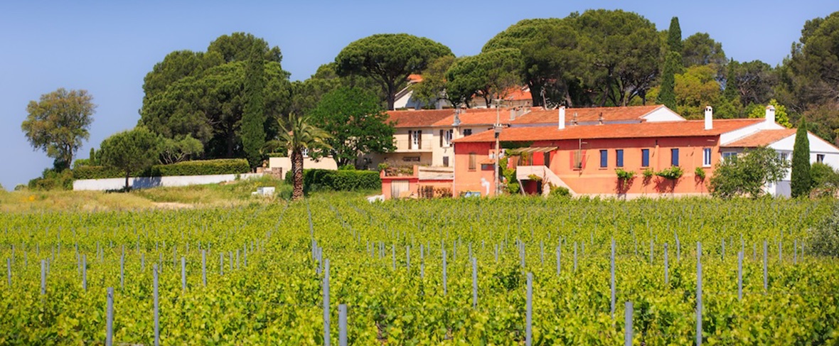 slide L’incroyable archipel des rosés de Provence