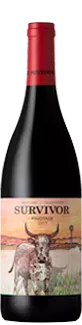 Survivor Pinotage 2019