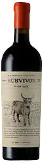 Survivor Pinotage Reserve 2019