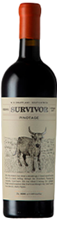 Survivor